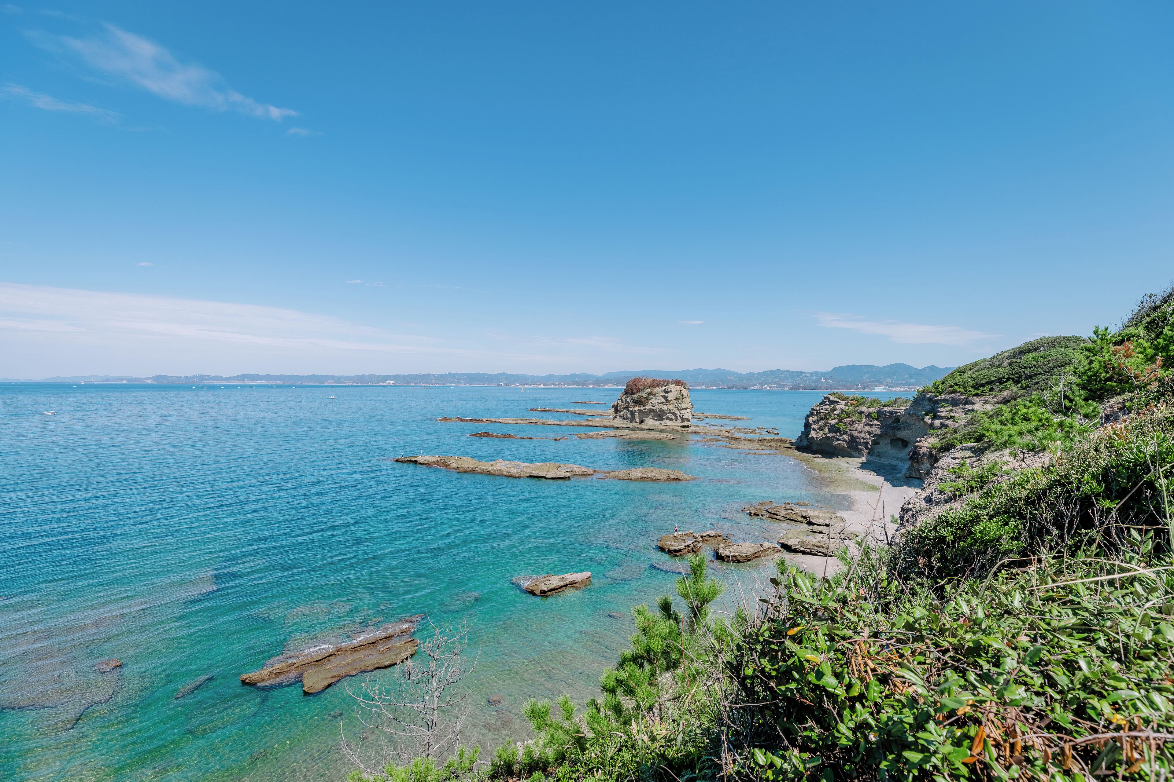 Museu Minakata Kumagusu