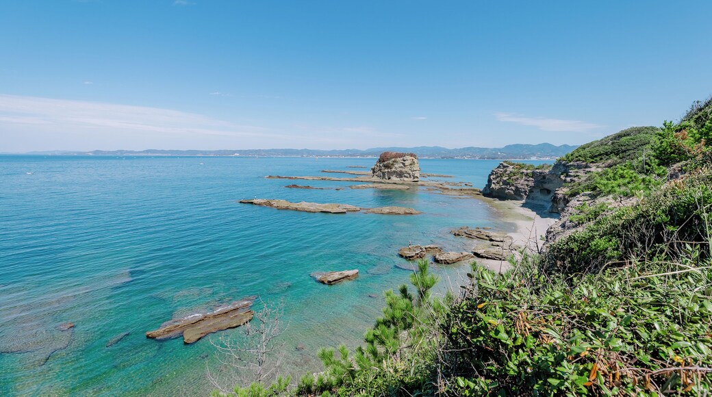 Museu Minakata Kumagusu
