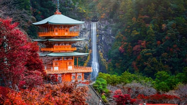 Kumano nachi taisha shrine with waterfalls along in view at season change of Autumn, the famous and popular tourist place in Kumano of Japan