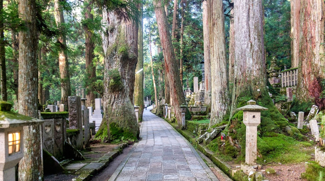 Graveyard of Mount Koya (Koya San), near Kobo-Daishi's shrine, in the Kansai peninsula, Japan.