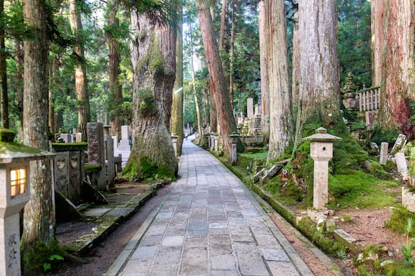 A stone pathway flanked by tall trees and stone markers in a forested area.