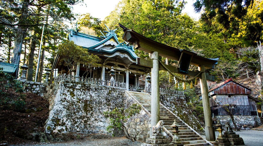 Santuario Tamaki