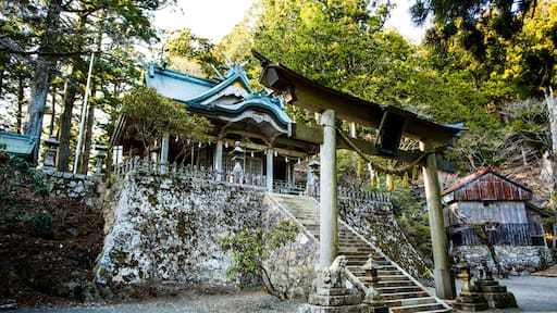 玉置神社境内