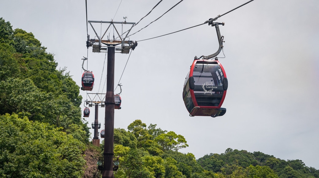 Shin-Kobe Ropeway