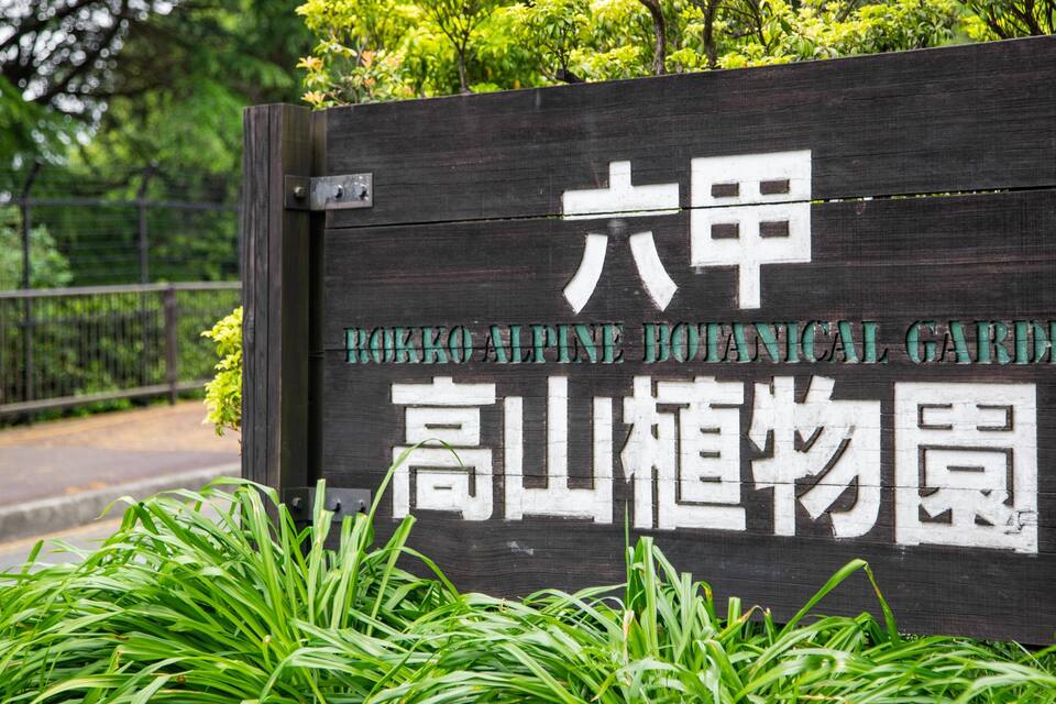 A wooden sign with text in English and Chinese, surrounded by green plants.