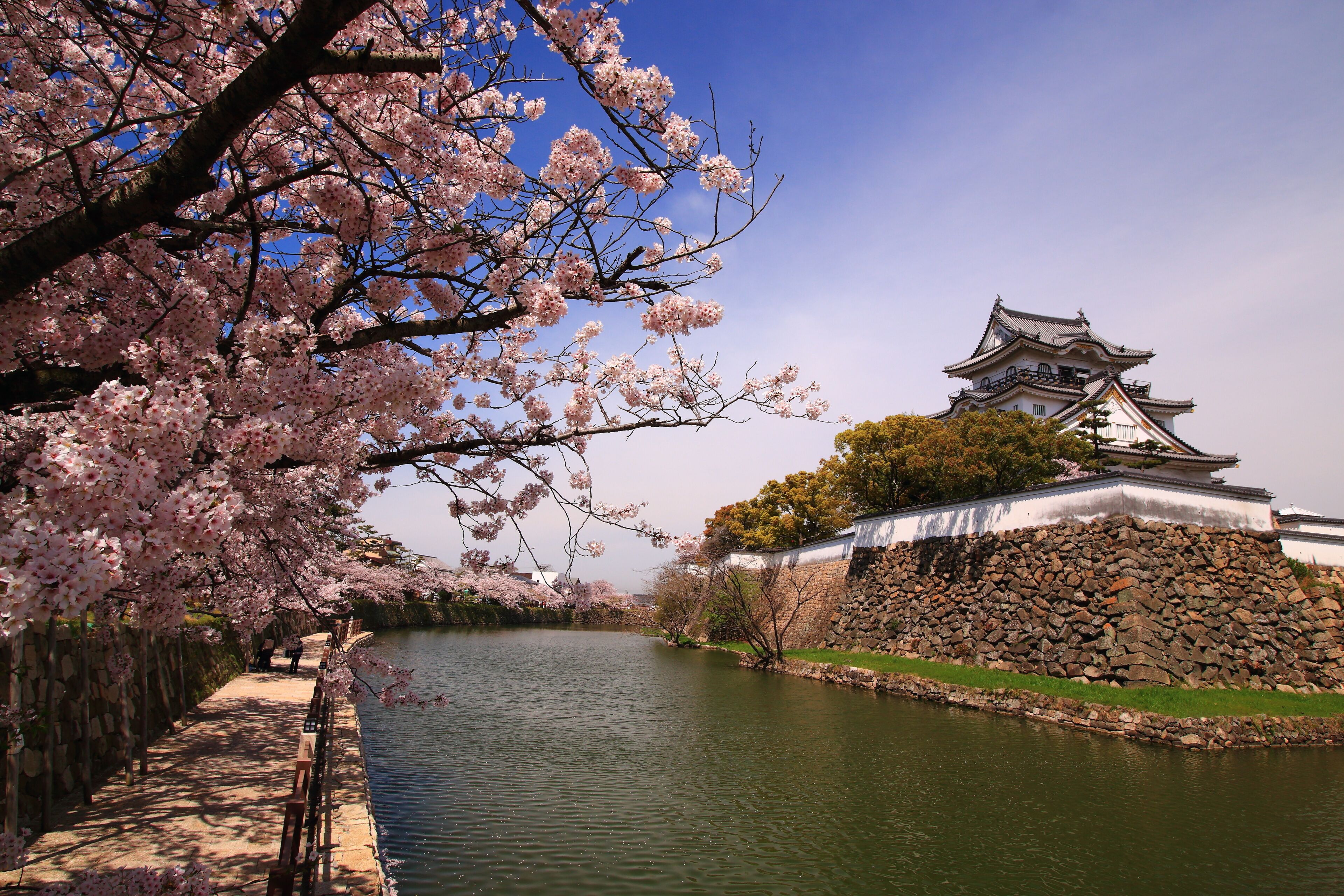 岸和田城