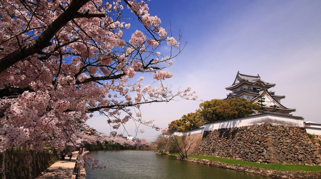 Kasteel van Kishiwada