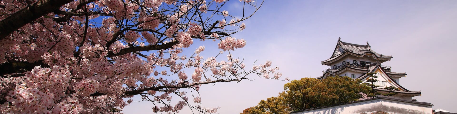 岸和田城