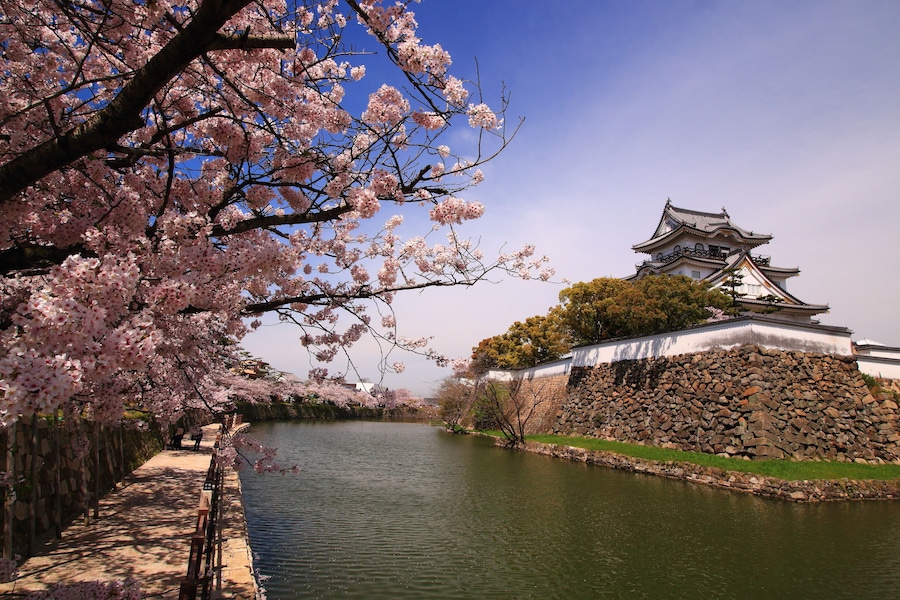 岸和田城