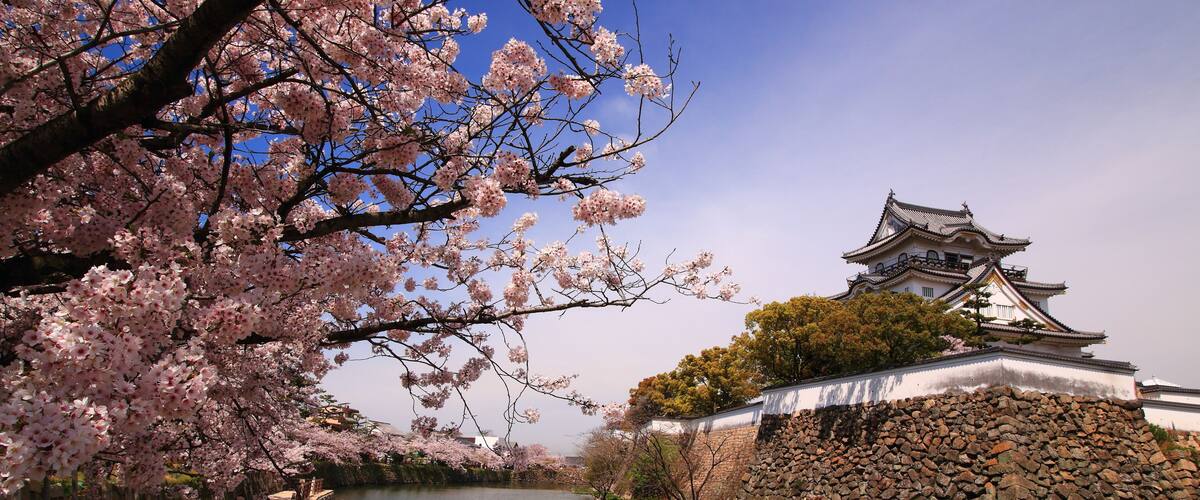 A river with cherry blossoms, a traditional Japanese castle, and a stone wall.