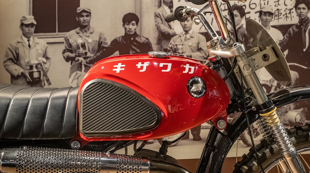 Kawasaki Good Times World