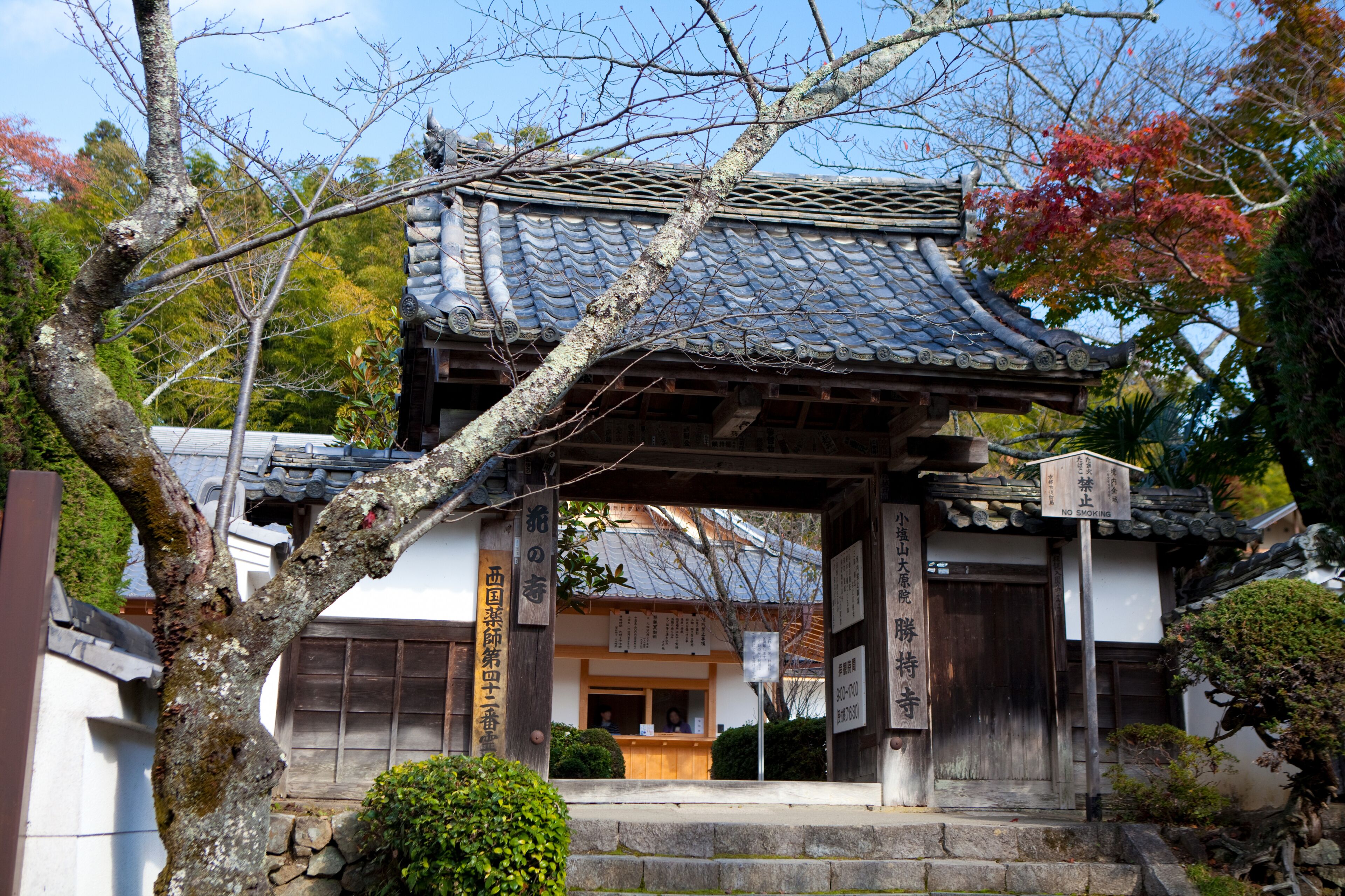 勝持寺