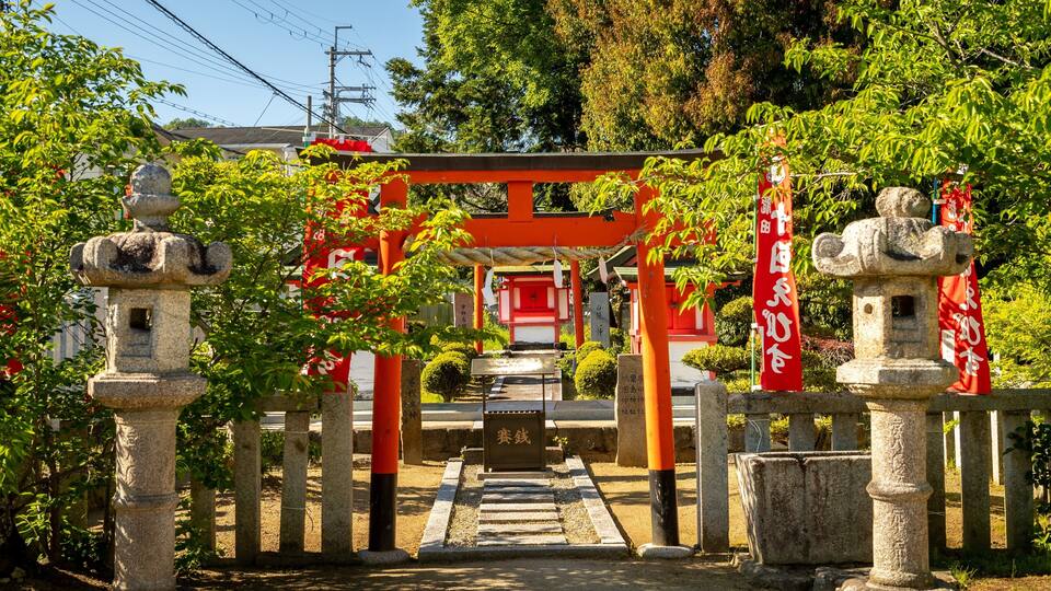 Tatsuta Shrine which includes a park and heritage elements