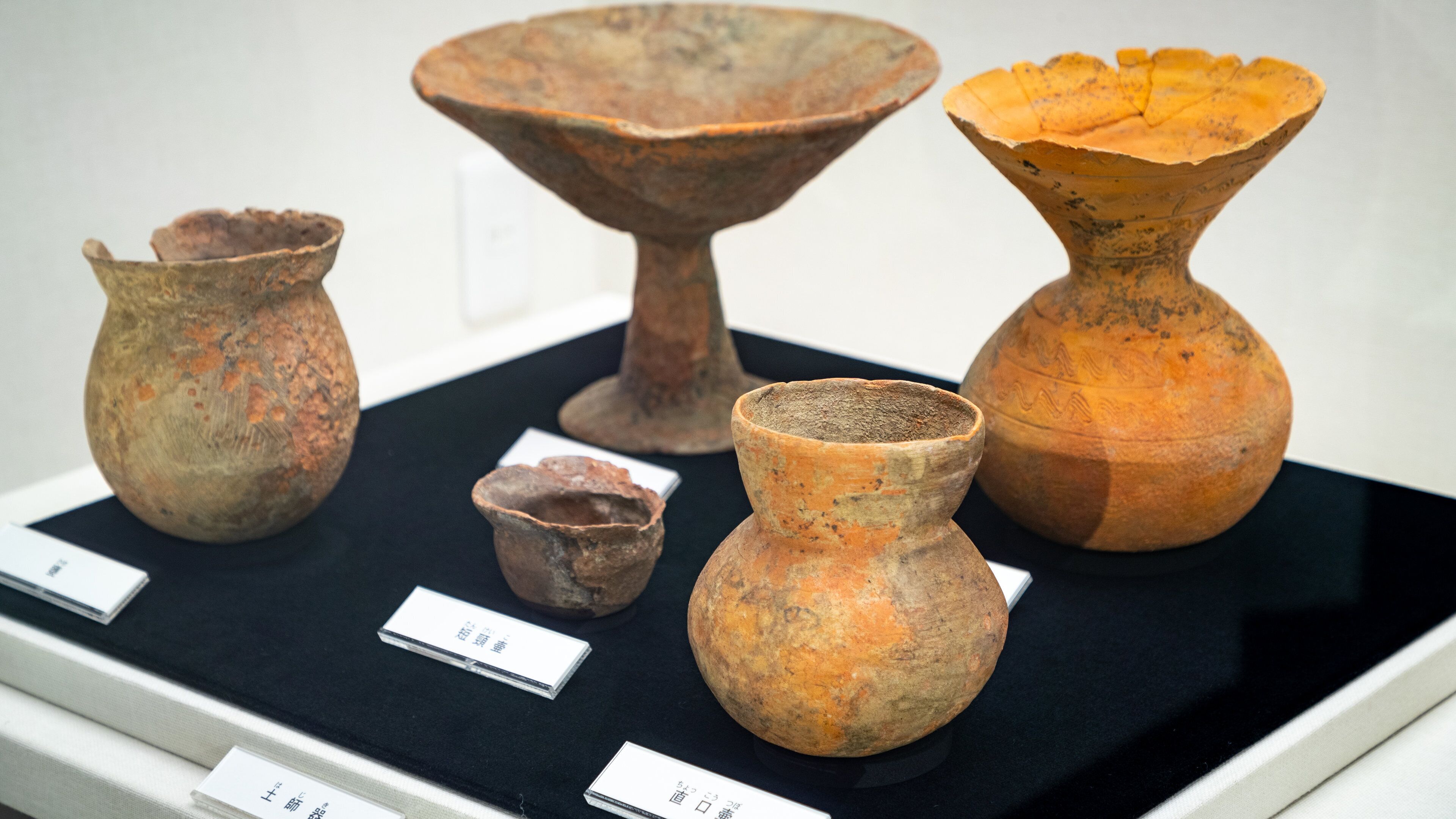 Ikaruga Cultural Asset Center which includes heritage elements