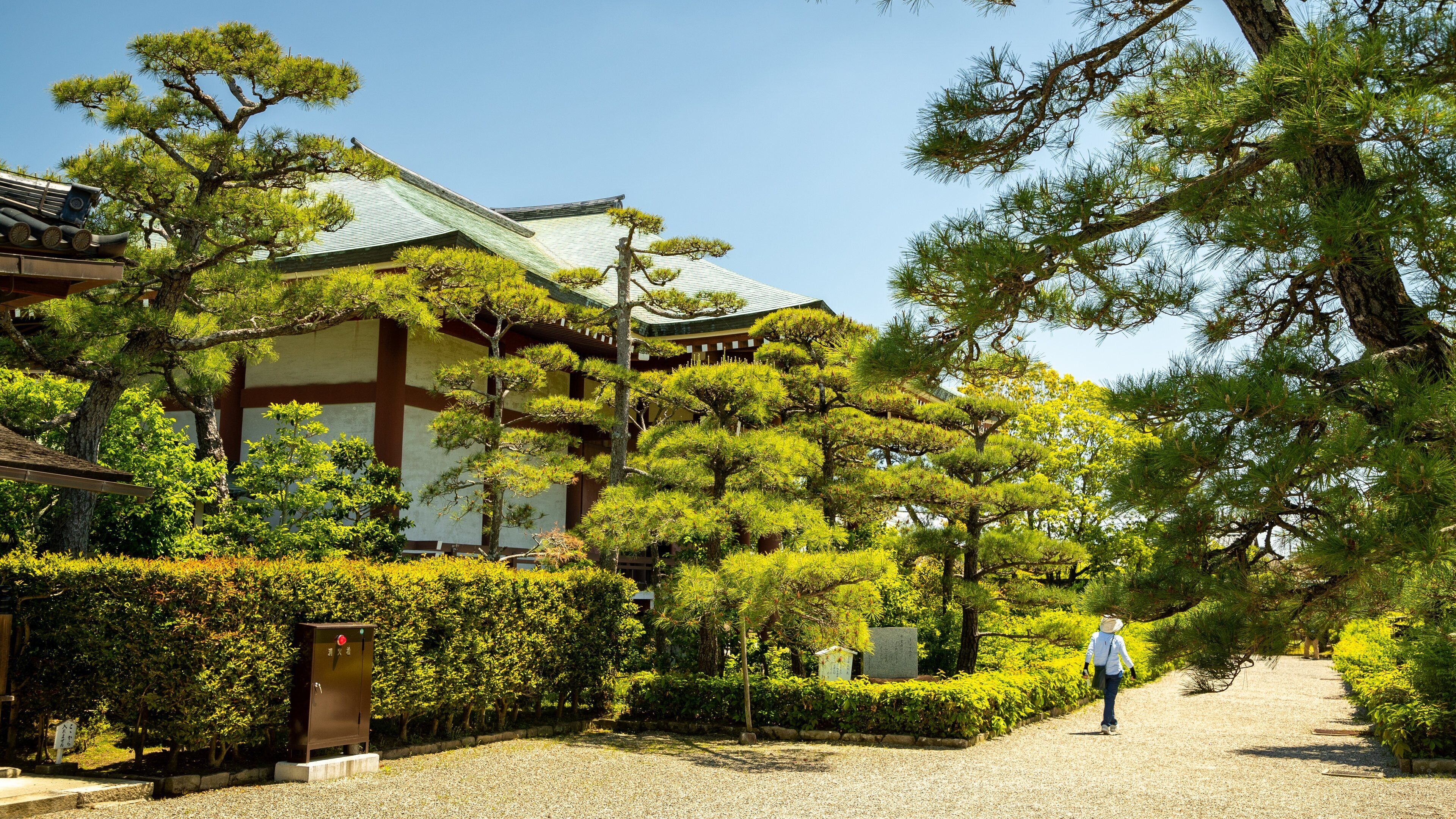 Chuguji Temple which includes a garden as well as an individual femail