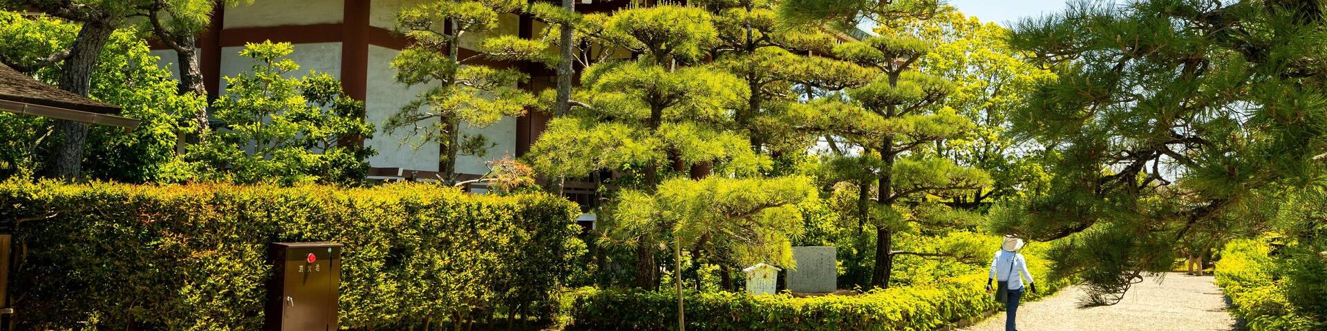 Chuguji Temple which includes a garden as well as an individual femail