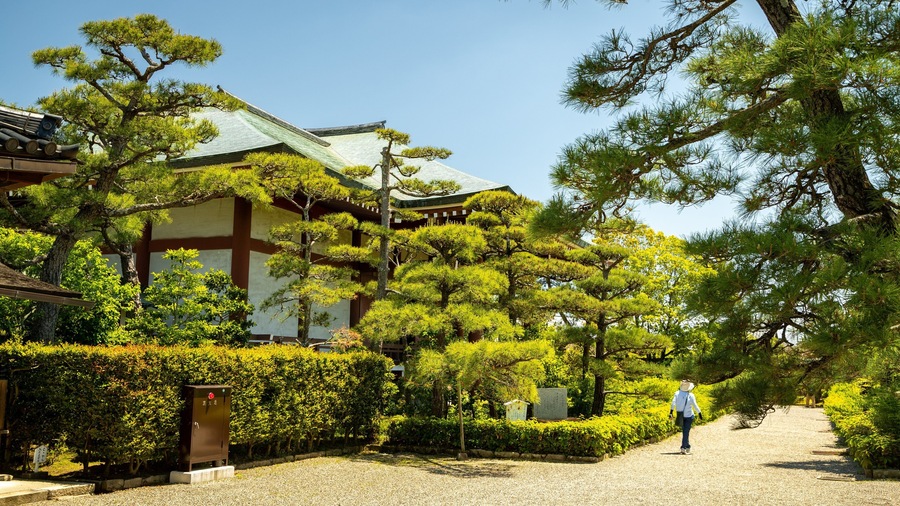 Chuguji Temple which includes a garden as well as an individual femail
