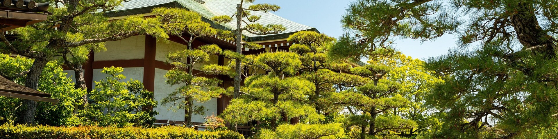 Chuguji Temple which includes a garden as well as an individual femail