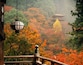 The Hase Temple in Autumn Foliage