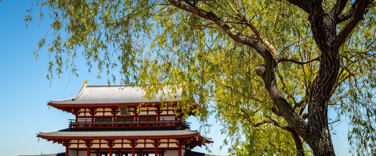 Suzakumon Gate showing heritage elements, a square or plaza and a temple or place of worship
