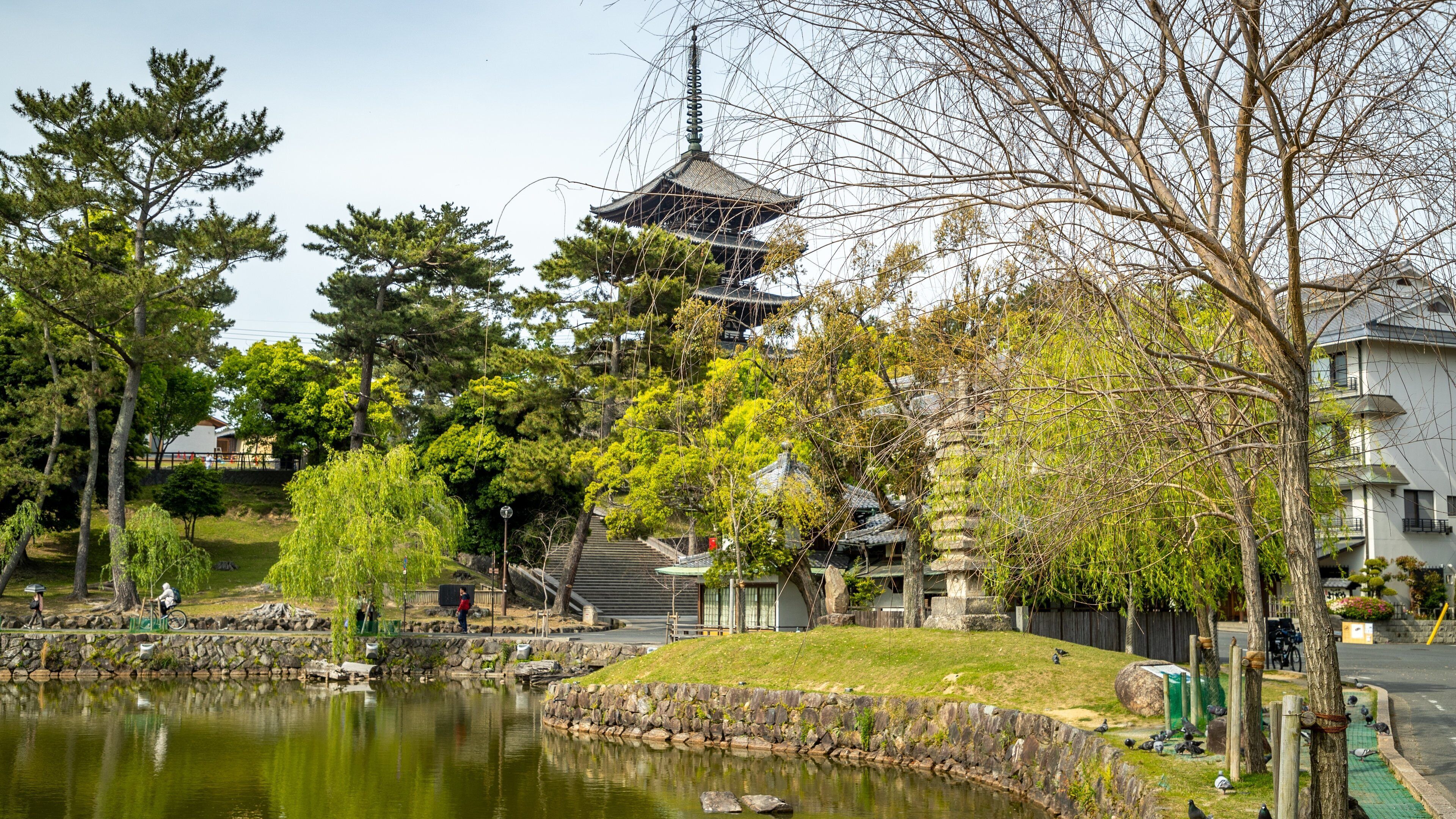 Sarusawa-ike featuring a pond