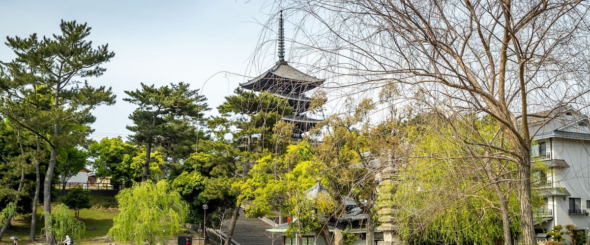 Sarusawa-ike featuring a pond