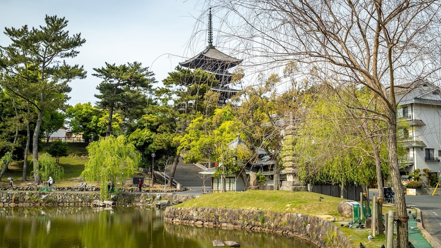 Sarusawa-ike featuring a pond