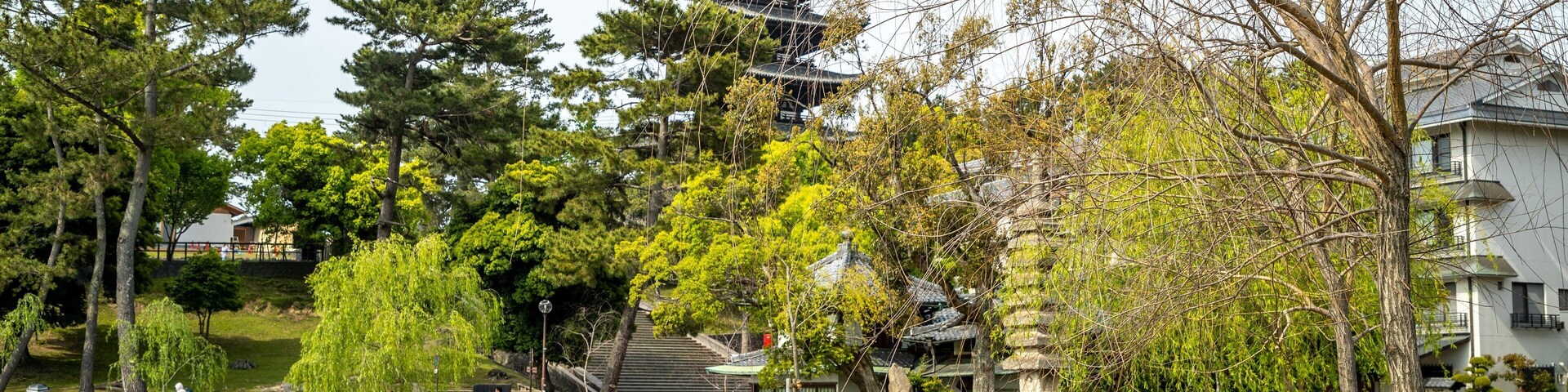 Sarusawa-ike featuring a pond