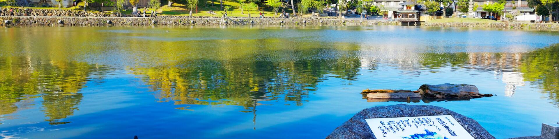 Un lago tranquilo con un pagodas al fondo, rodeado de árboles y edificios.
