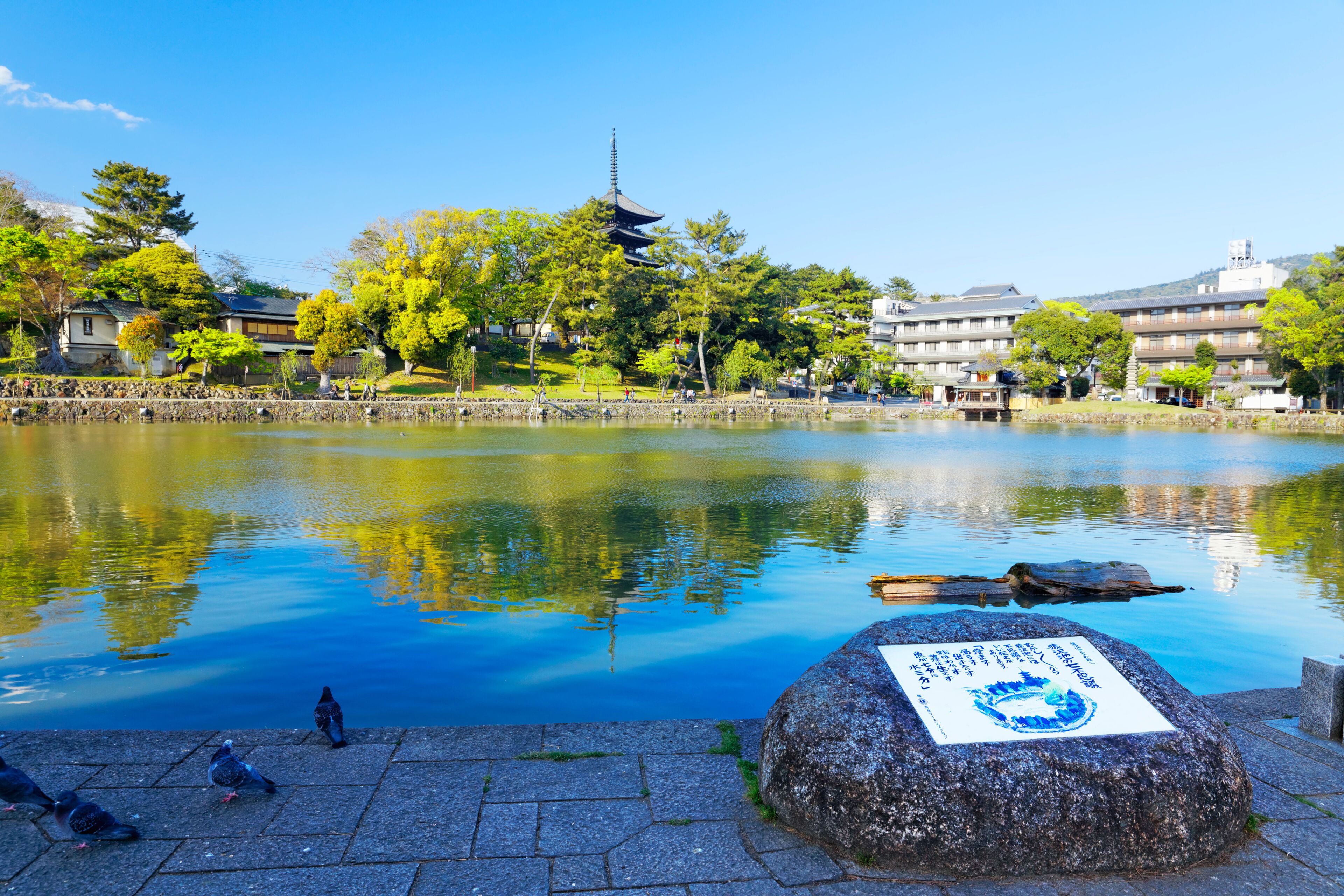 A calm lake with a pagoda in the background, surrounded by trees and buildings.