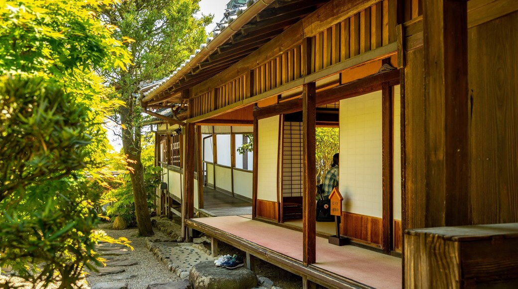 Shinyakushiji Temple showing heritage elements