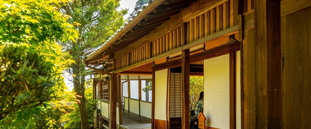 Shinyakushiji Temple showing heritage elements