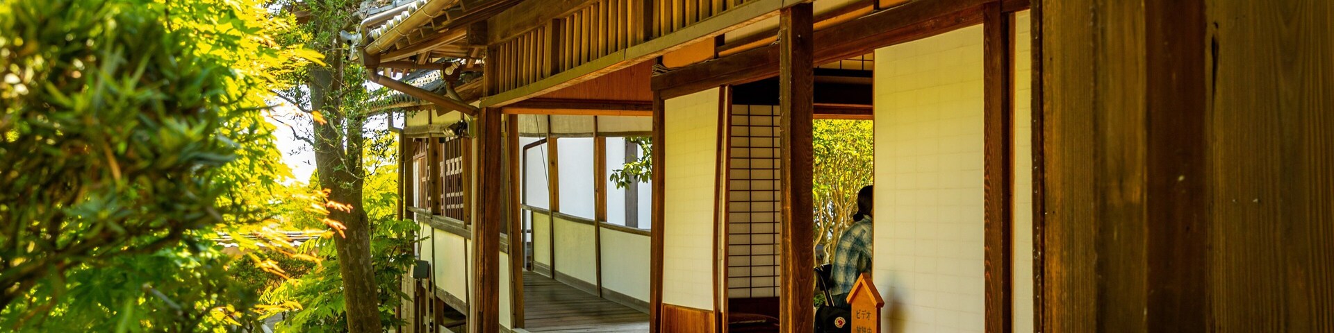 Shinyakushiji Temple showing heritage elements