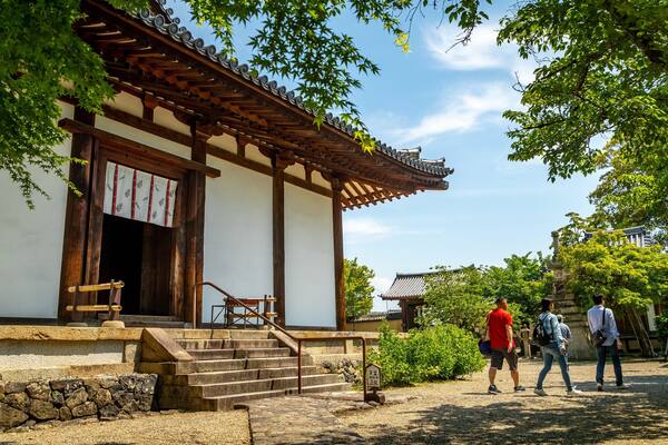 Shinyakushiji Temple showing a temple or place of worship and heritage elements as well as a small group of people