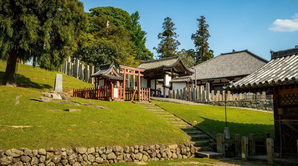 Nigatsu-do Temple showing a temple or place of worship