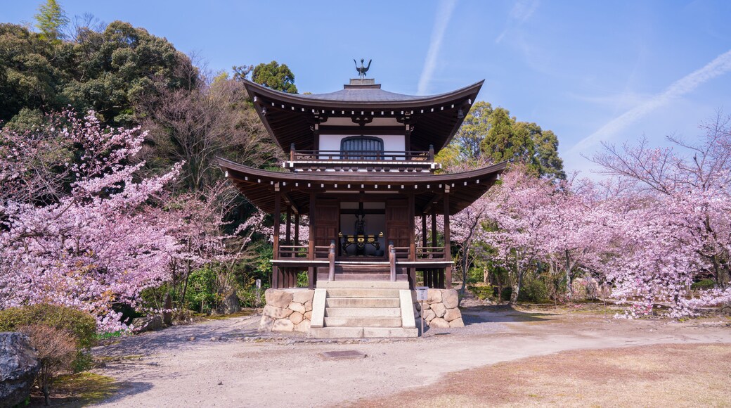 Kuil Kaju-ji