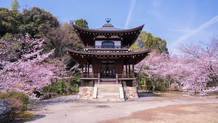 Kuil Kaju-ji