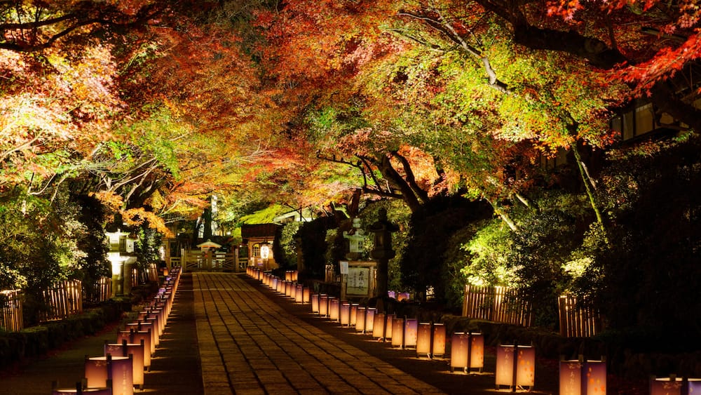 Un sentier bordé de lanternes et d’arbres aux feuilles d’automne.