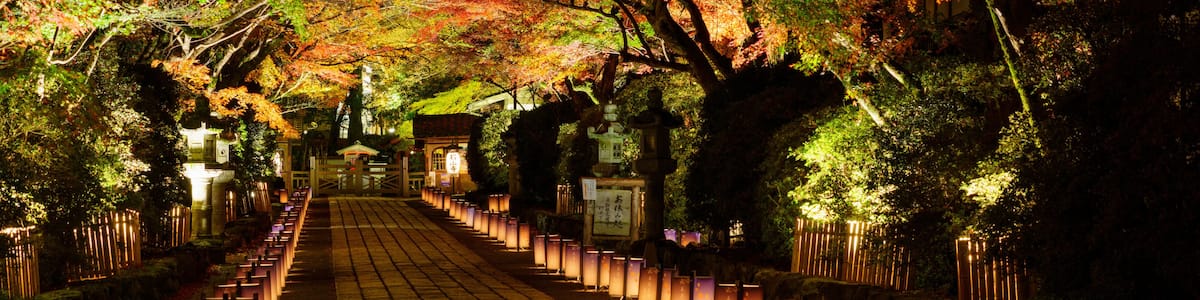 紅葉した石山寺のライトアップ