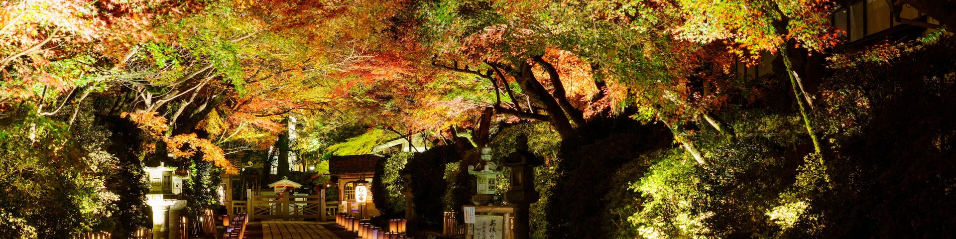 紅葉した石山寺のライトアップ
