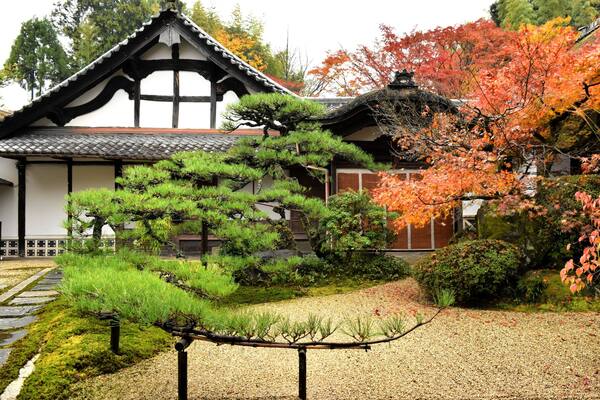 Un bâtiment traditionnel japonais, avec un toit recouvert de tuiles, entouré de jardins bien entretenus et d’arbres aux couleurs automnales.