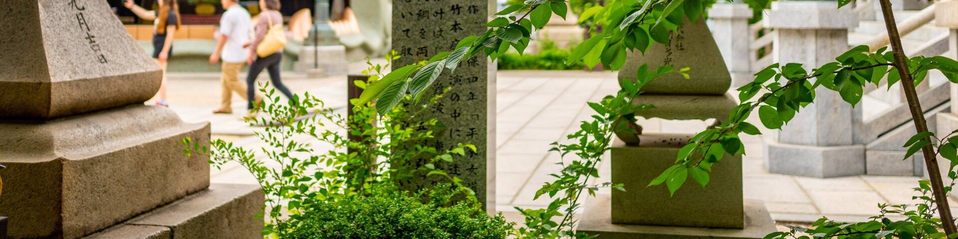 Namba Yasaka Shrine featuring heritage elements