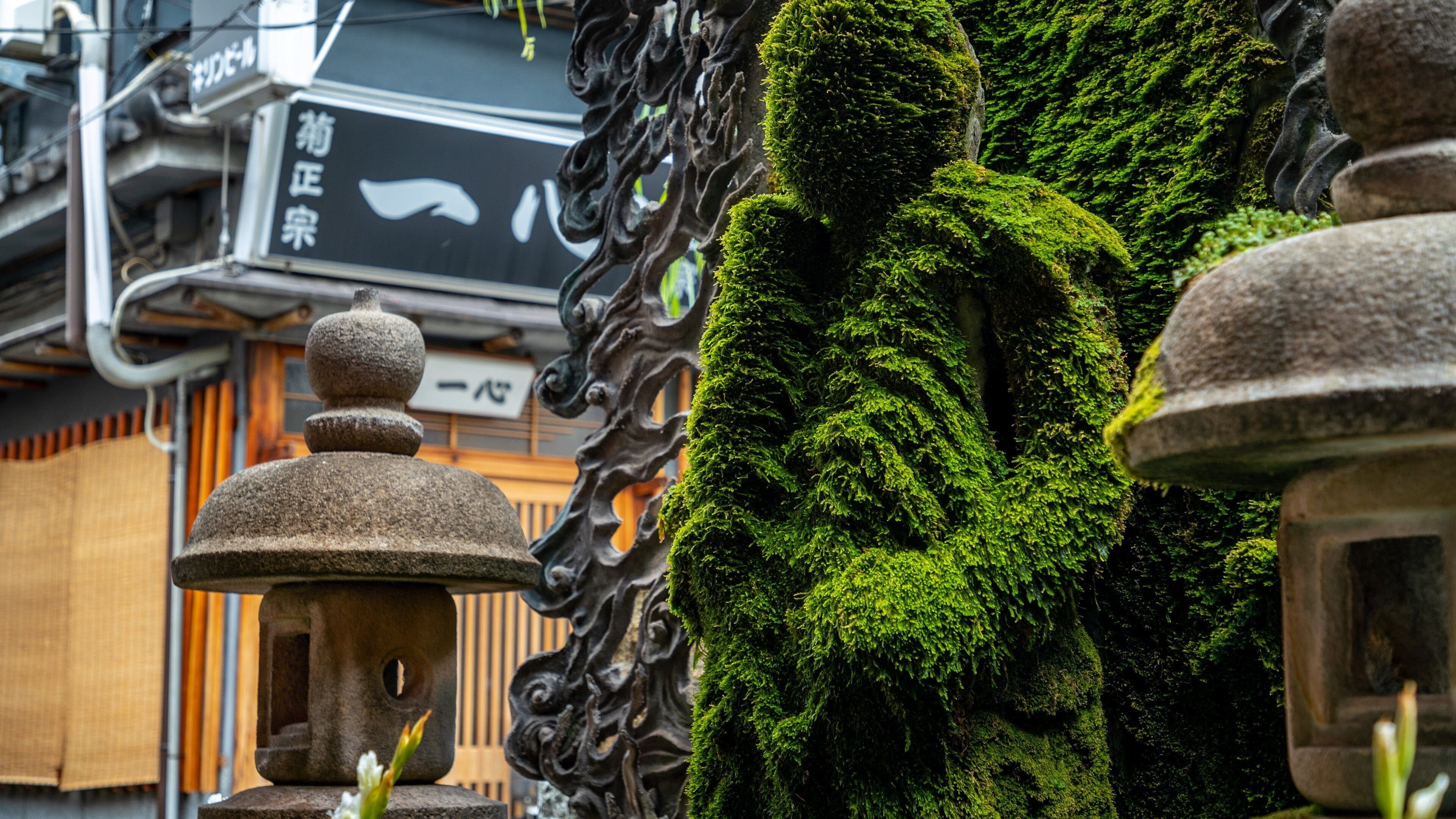 Hozen ji Temple showing a park