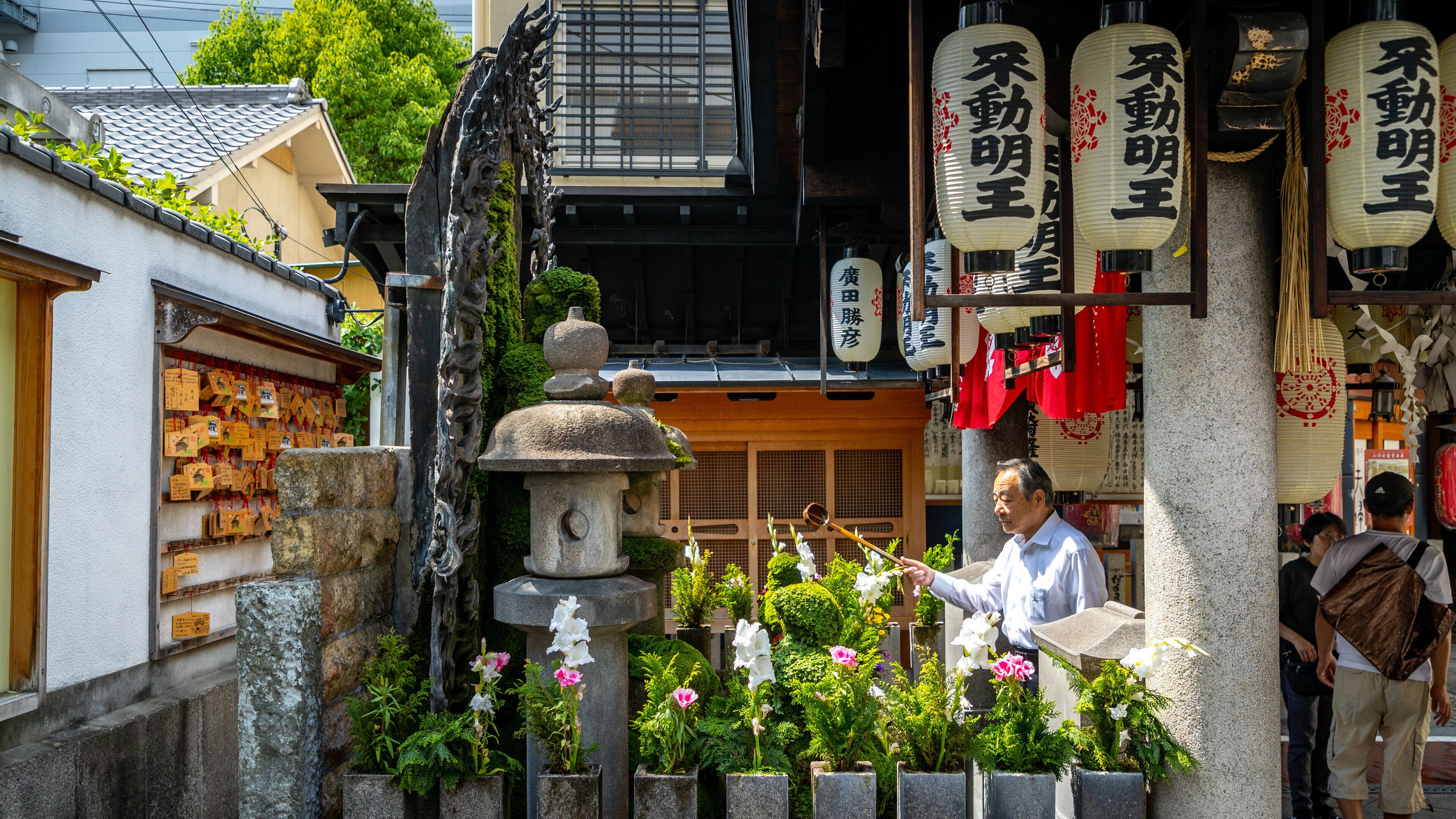 Hozen ji Temple showing flowers and a garden as well as an individual male