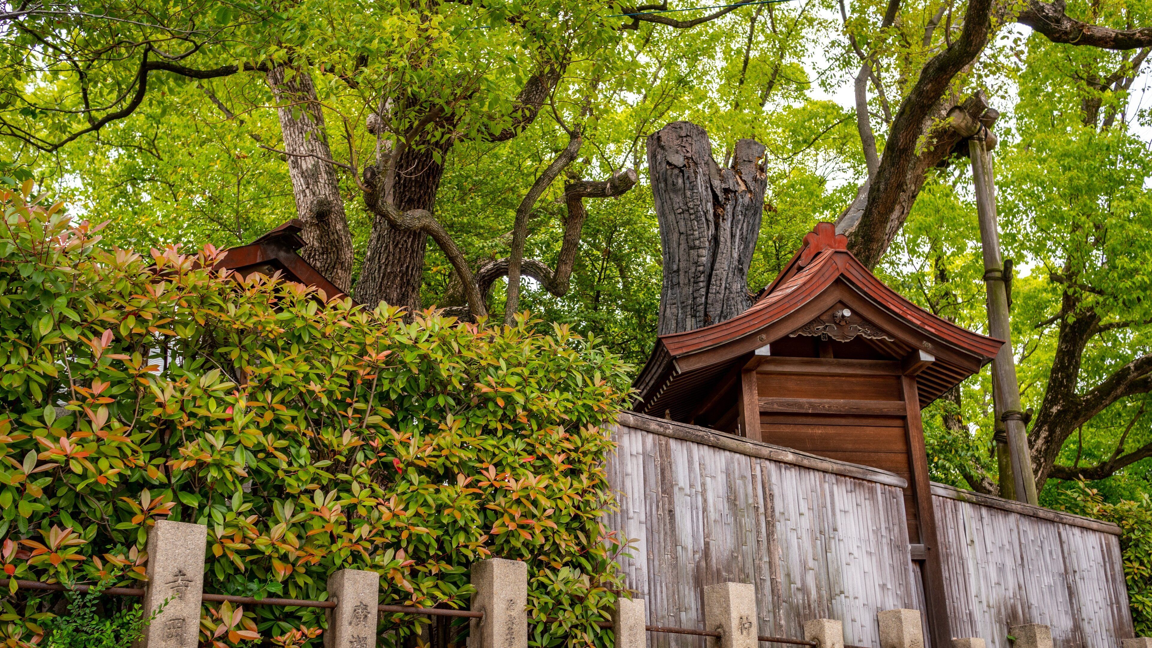 Horikoshi Shrine which includes heritage elements