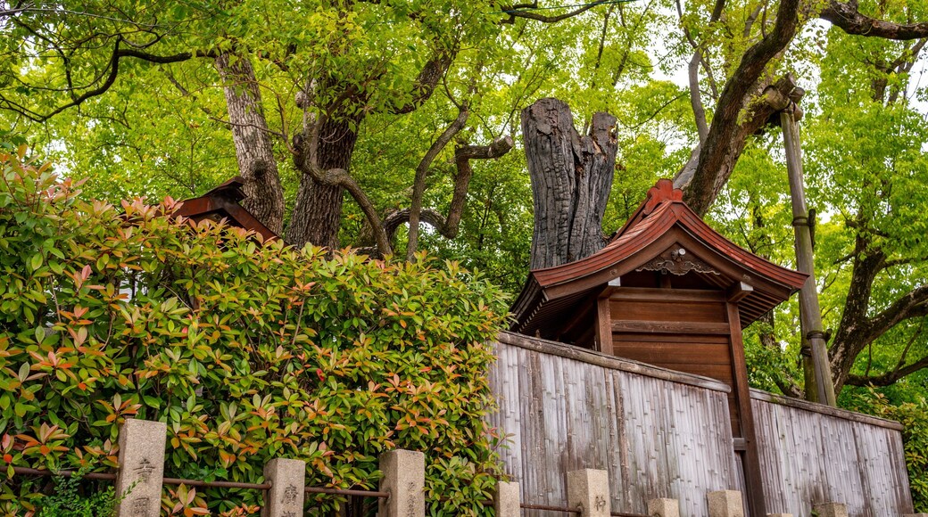 Horikoshi Shrine which includes heritage elements