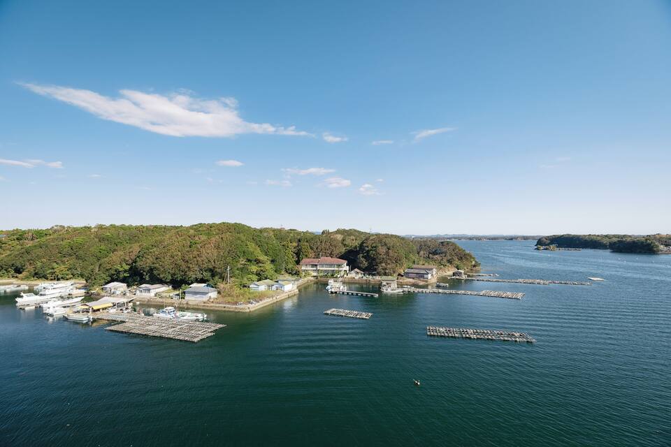A marina with boats docked, surrounded by forested hills and clear blue skies.