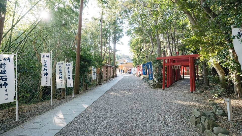 A pathway lined with stone markers and red torii gates, leading through a forested area.