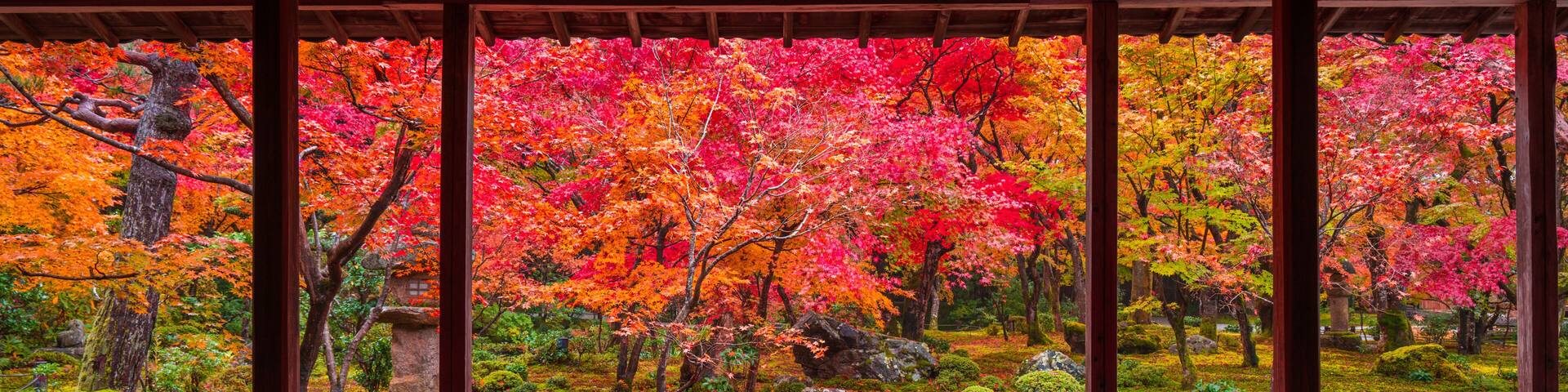 京都 圓光寺の紅葉