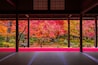 A traditional Japanese building with tatami flooring and a view of a vibrant autumn garden.